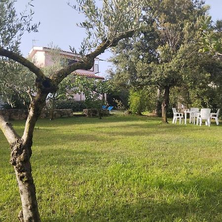 Appartamento In Villa Bruno Olbia Exterior foto